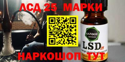 стаф Сланцы