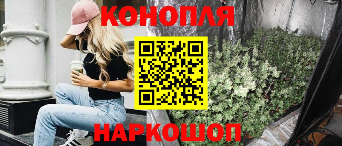 Конопля план Орёл